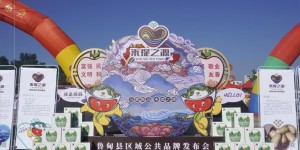 鲁甸县区域公共品牌“朱提之源”发布会成功举行